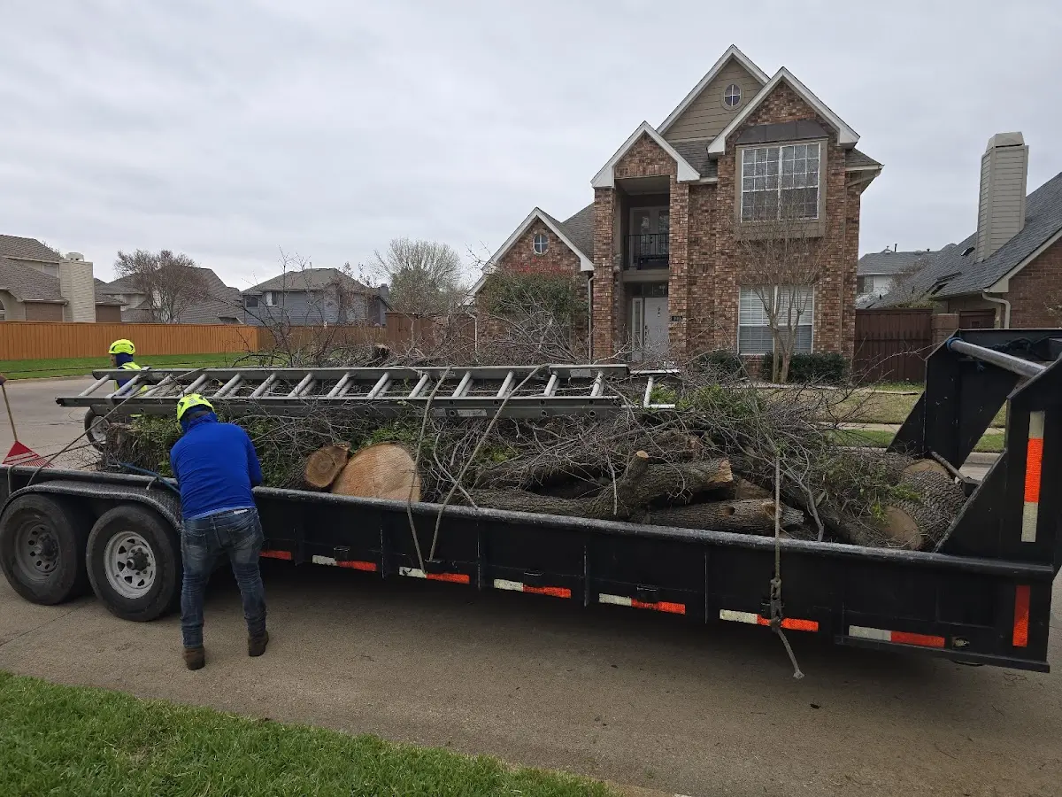 Expert Tree Fertilization with proper safety equipment in Portland